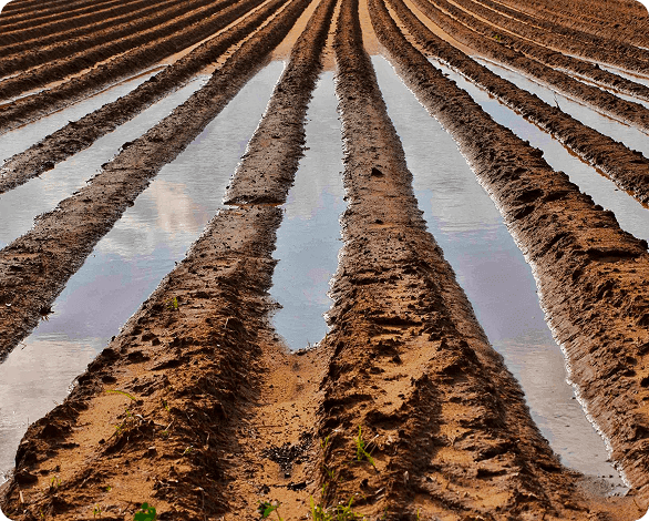 Muddy, plowed field with standing water reflecting the sky in deep furrows.